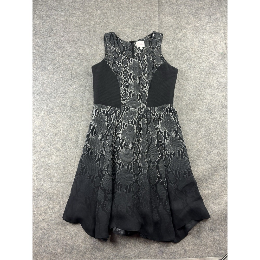 Parker 100% Silk Ombré Snake Skin Flowy Skater Dress Women's S 00s Edgy Grunge